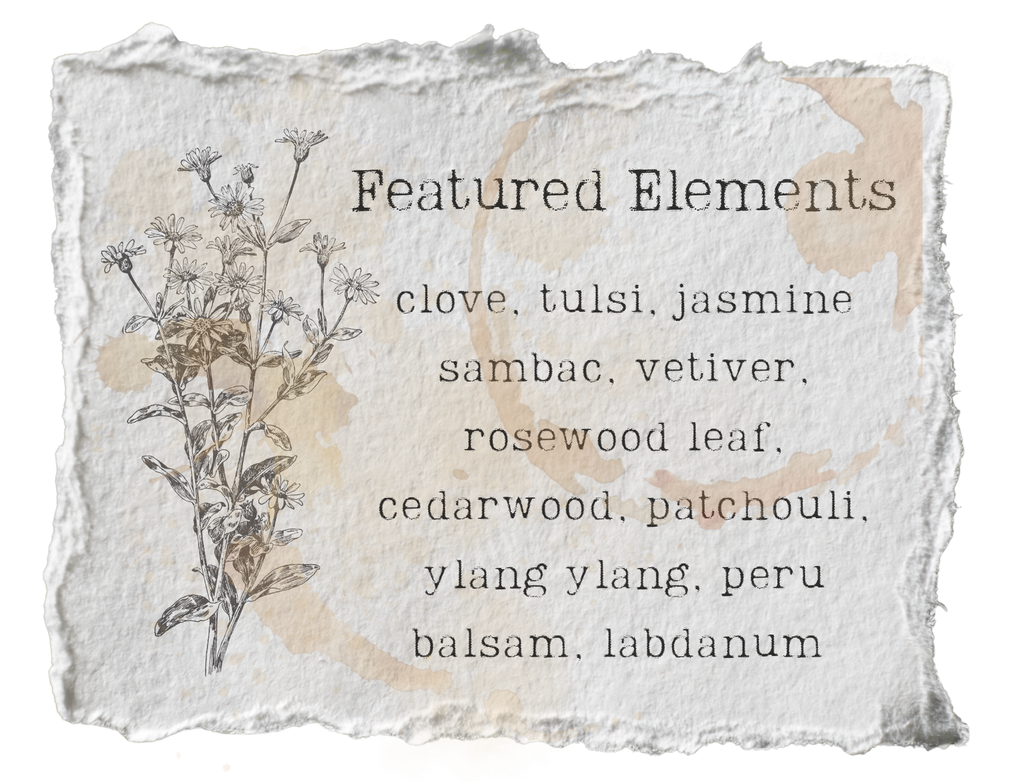 Céleste Noir Botanical Perfume