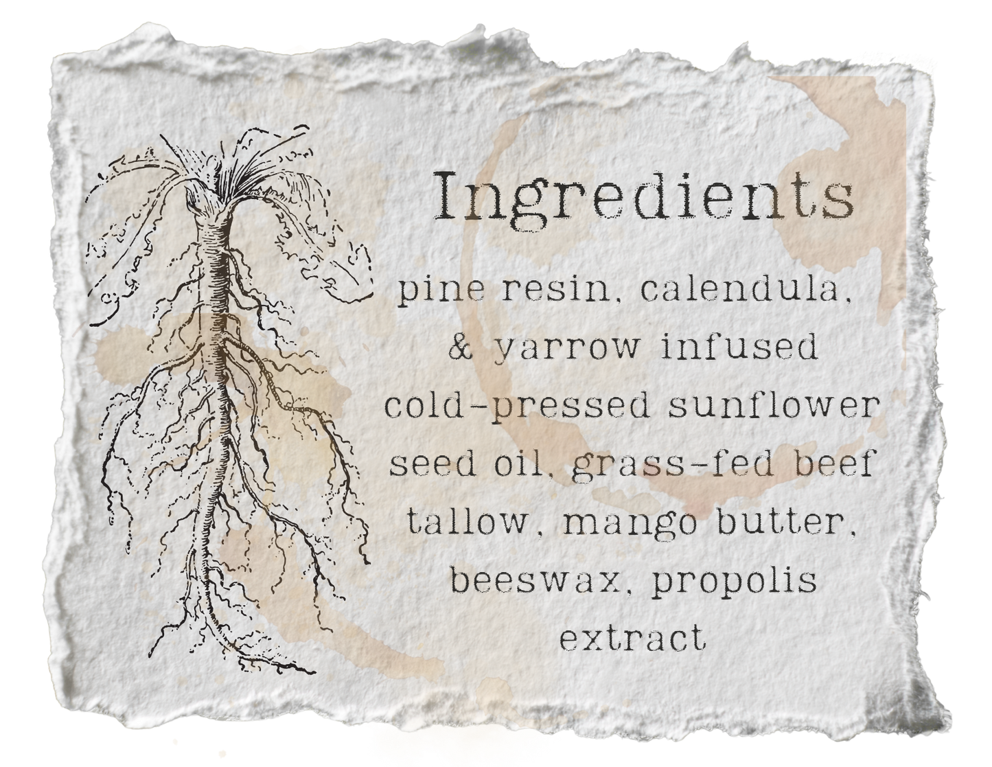 Pine & Propolis All Purpose Tallow Salve