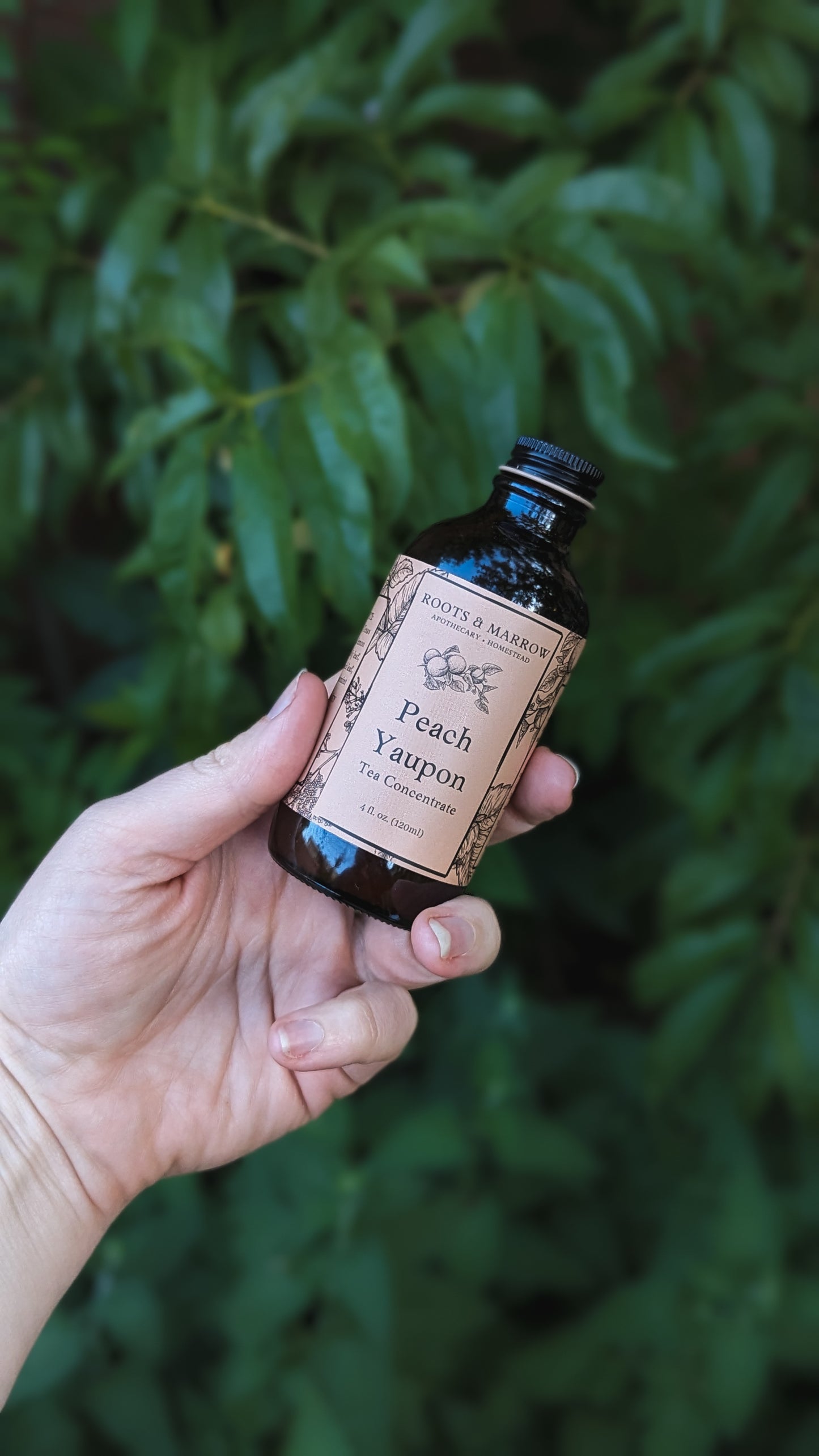 Peach Yaupon Tea concentrate