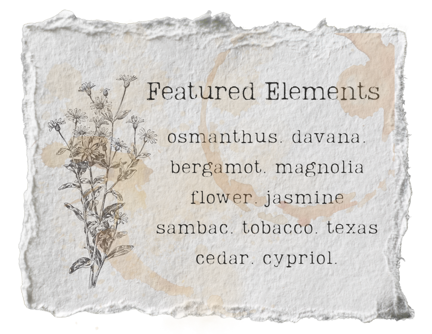 Southern Gothic Solid Fragrance