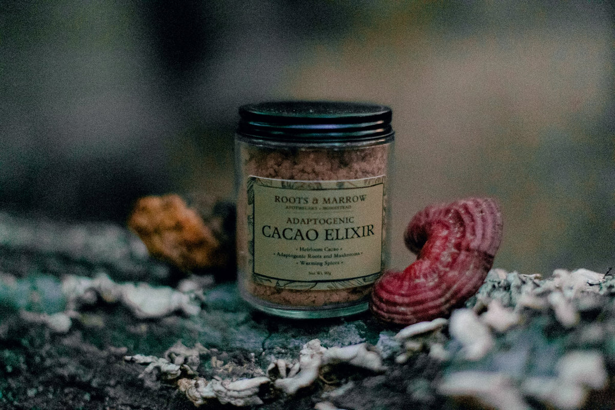 Adaptogenic Cacao Elixir