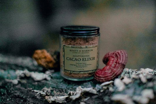 Adaptogenic Cacao Elixir