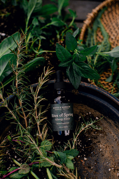 Rites of Spring Allergy Elixir