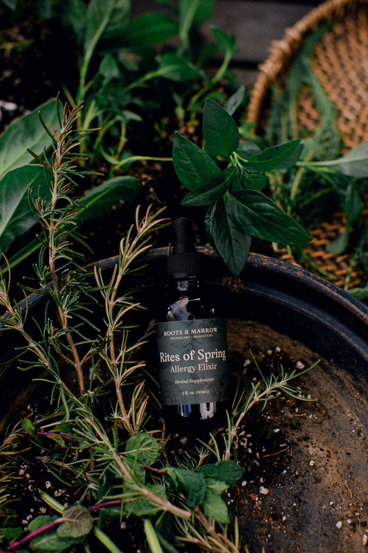 Rites of Spring Allergy Elixir