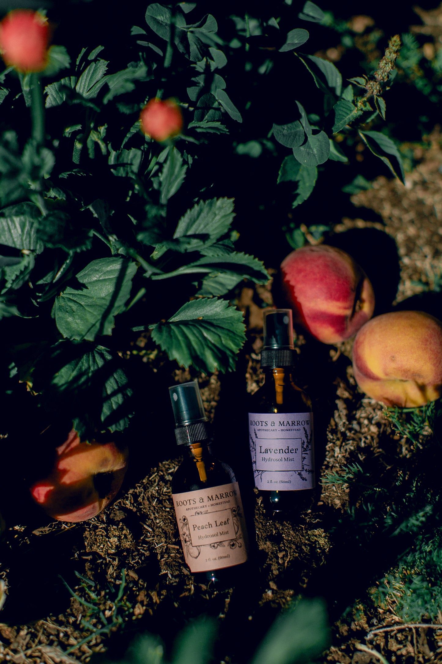 Lavender Hydrosol Mist