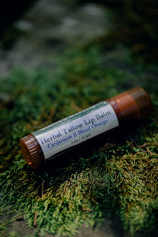Herbal Tallow Lip Balm