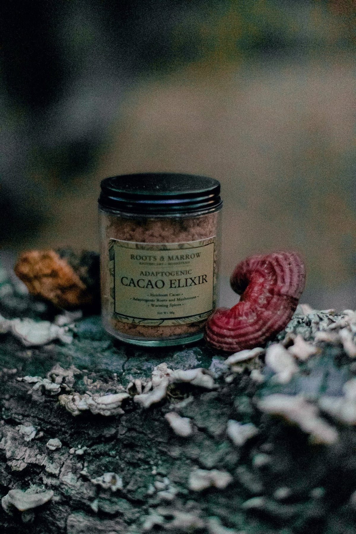 Adaptogenic Cacao Elixir