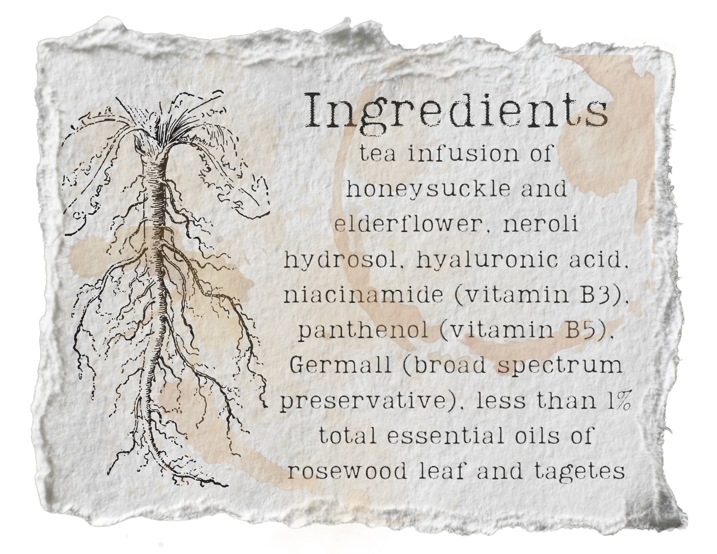 Golden Hour Skin Conditioning Mist