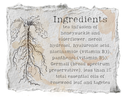 Golden Hour Skin Conditioning Mist