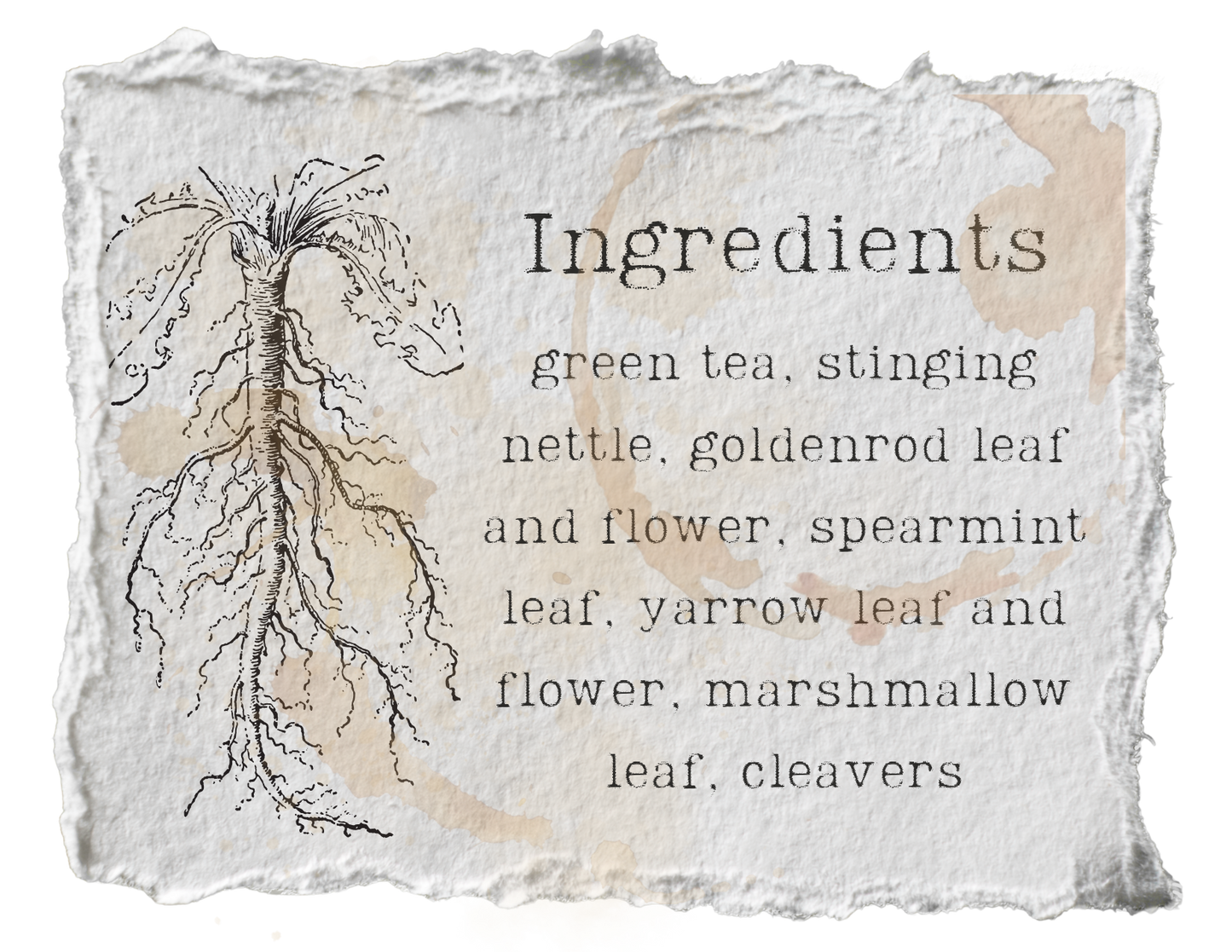 Rites of Spring Green Tea Blend
