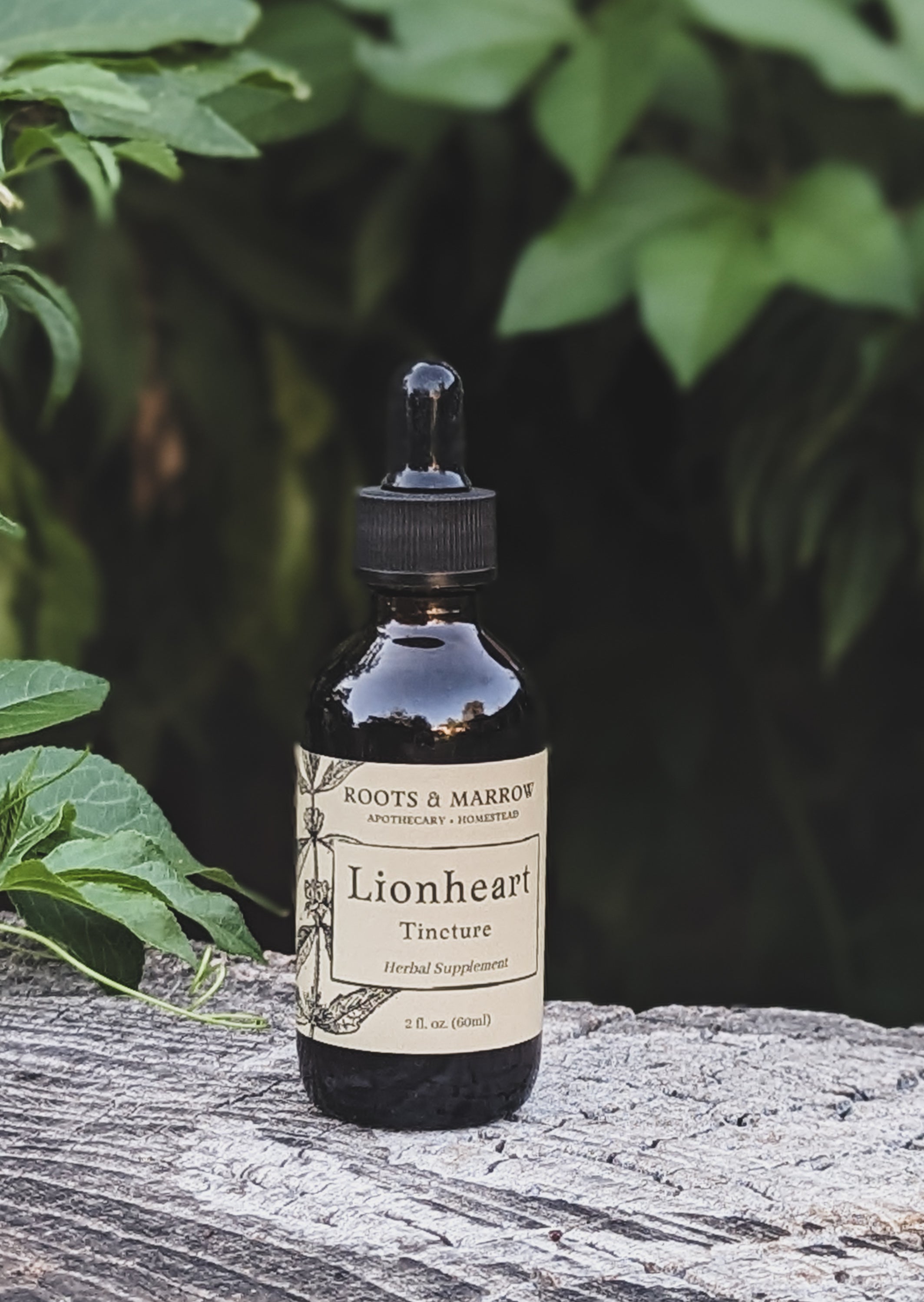Lionheart Tincture – Roots & Marrow