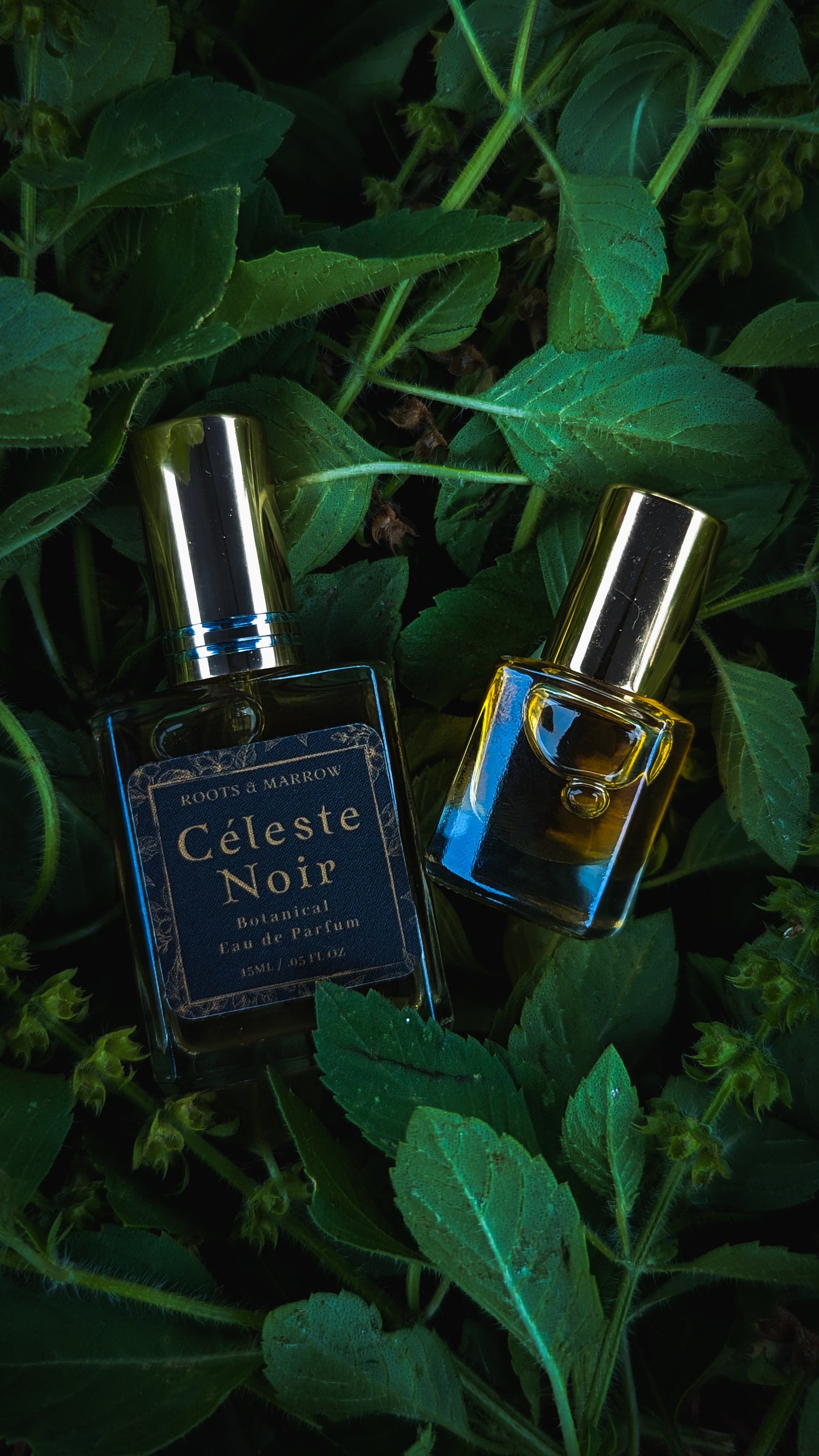 Céleste Noir Botanical Perfume