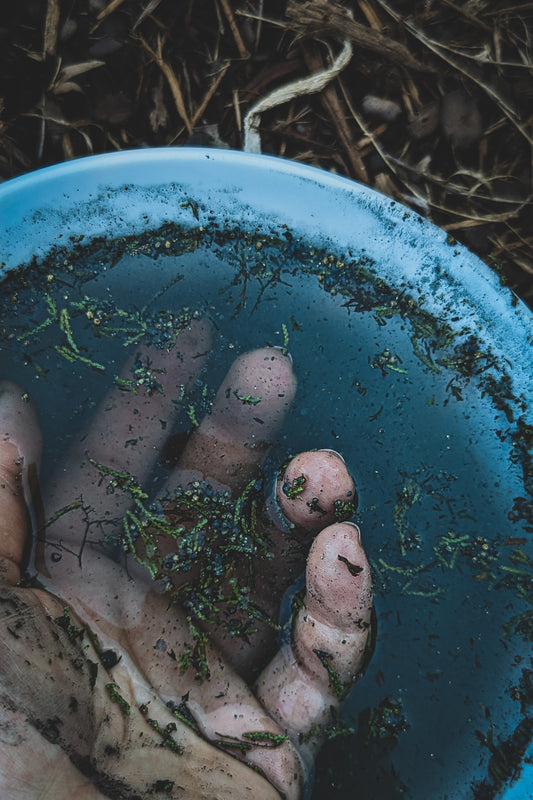Persephone Bath Soak | Harvest Moon Collection 2025
