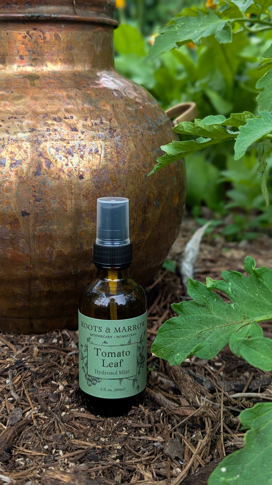 Tomato Leaf Hydrosol Mist (LIMITED EDITION)